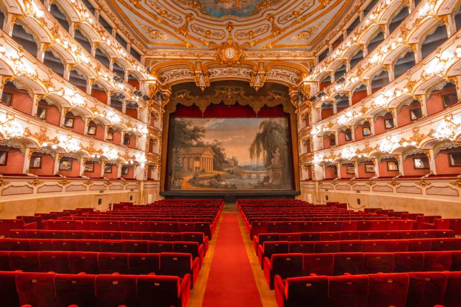 Itinere srl (ERW) VISITE GUIDATE AL TEATRO MUNICIPALE DI PIACENZA E ALLA SALA DEI TEATINI