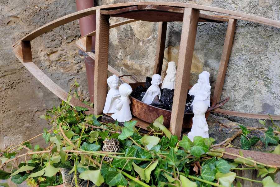 Modenatur Trekking: Segui la stella- Modena Slow