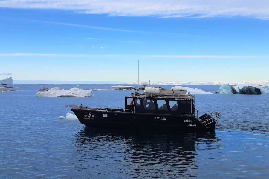 Diskobay Tours Shuttle Ilulissat-Qasigiannguit