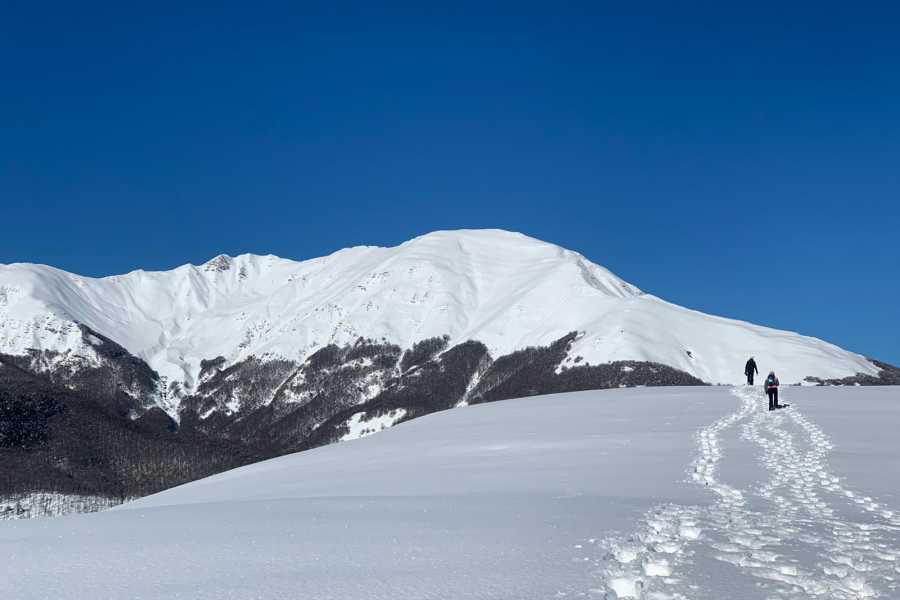 Itinere srl (ERW) CAPODANNO FUORI ROTTA 2026 - 30 dicembre - 1 gennaio