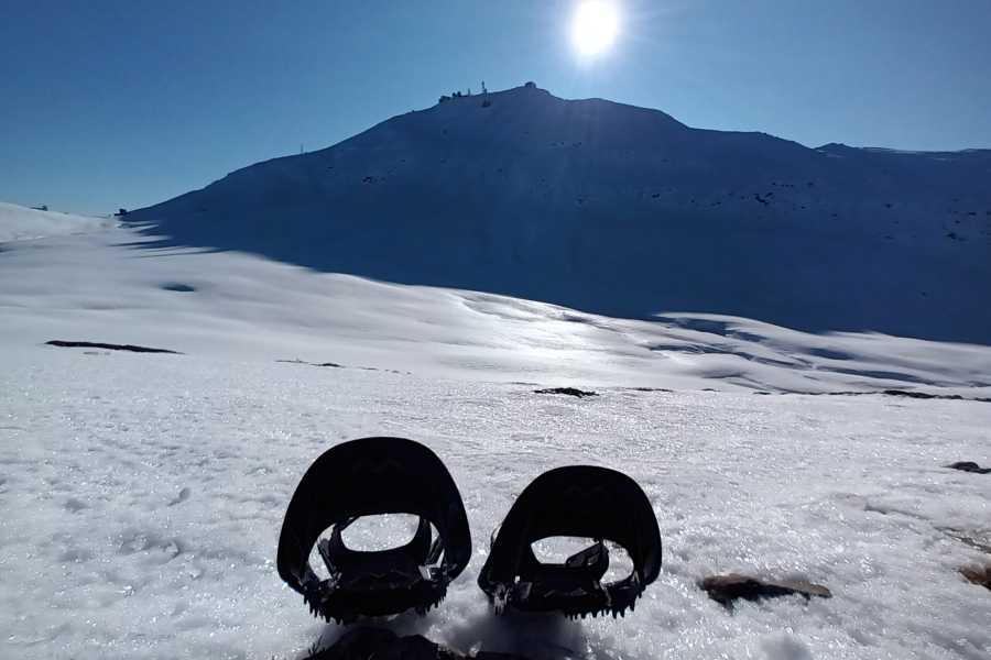 Modenatur Ciaspolata a Piancavallaro -  Modena Slow