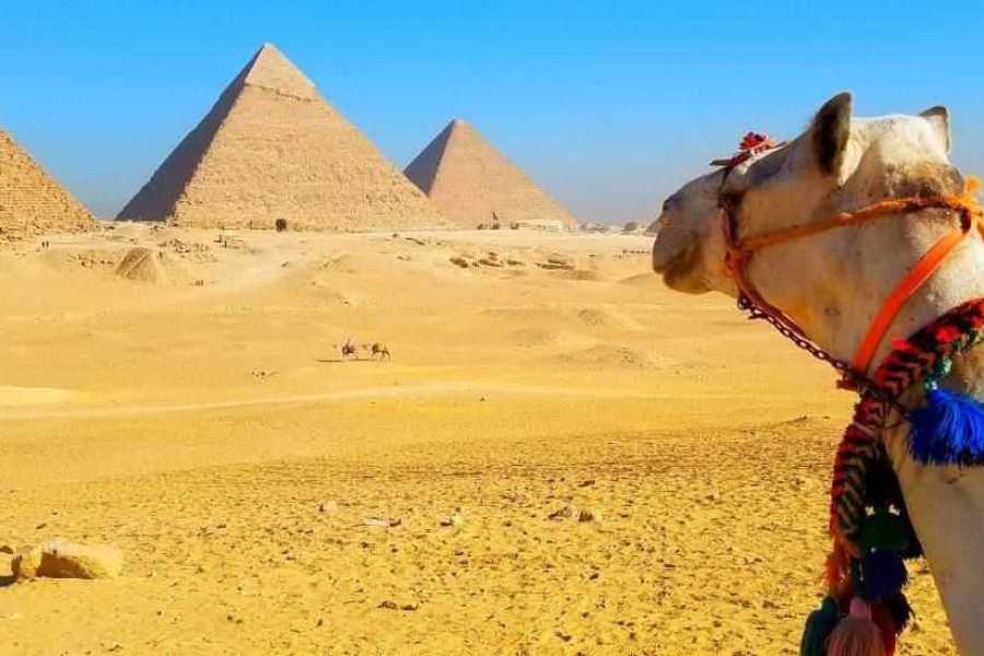 Egypt Tour packages Cairo Day tour from Sahel Hashesh by plane