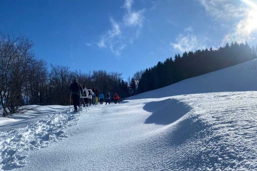 Modenatur Ciaspolata:  Incanto Sulla Neve del Lago della Ninfa - Modena Slow