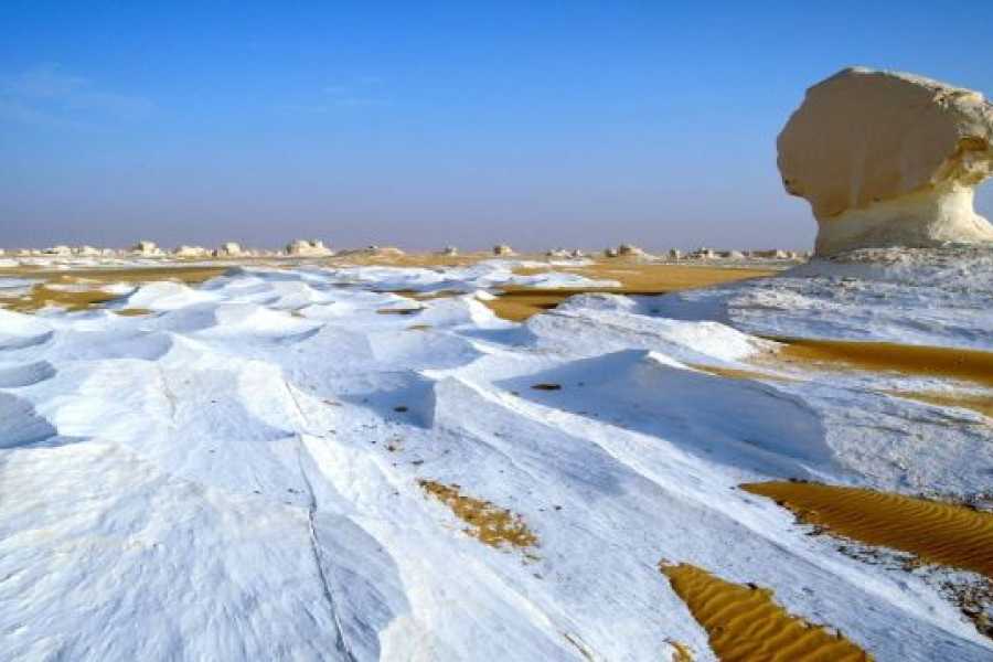 Marsa alam tours 2 days white desert and wadi el Hitan from Alexandria