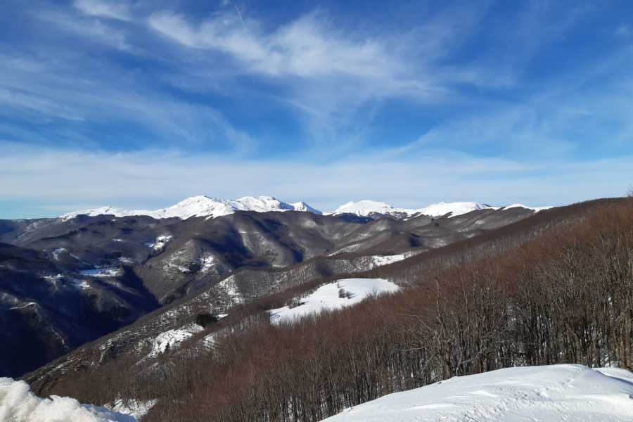 Modenatur Ciaspolata/Escursione a Frassinoro - Modena Slow