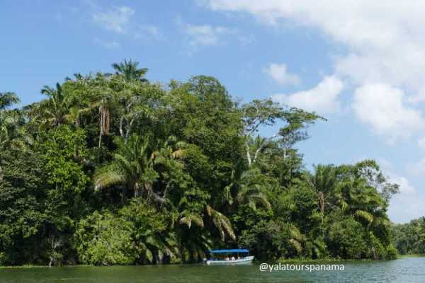 PCC130 Canal Boat Tour with wildlife observation at Gatun Lake