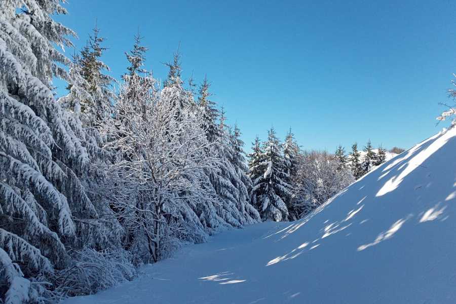 Modenatur Ciaspolata sulla Via Vandelli a Barigazzo- Modena Slow