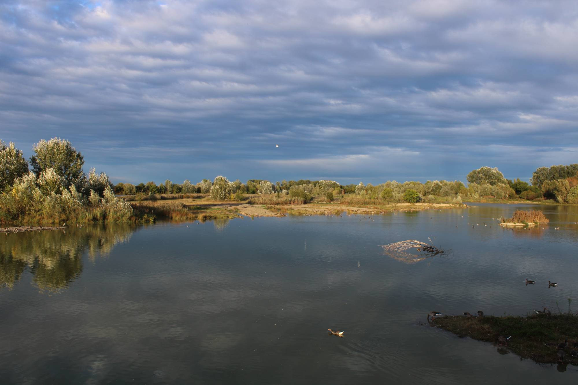 Histoires partisanes dans la plaine - Randonnée sur les sentiers de la Résistance