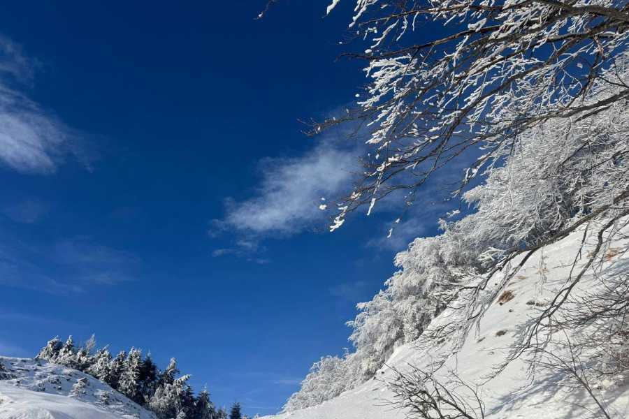 Modenatur Ciaspolata serale al Monte Cantiere - Modena Slow