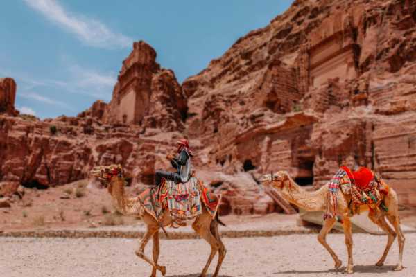 1-Day Petra & Wadi Rum Tour from Amman