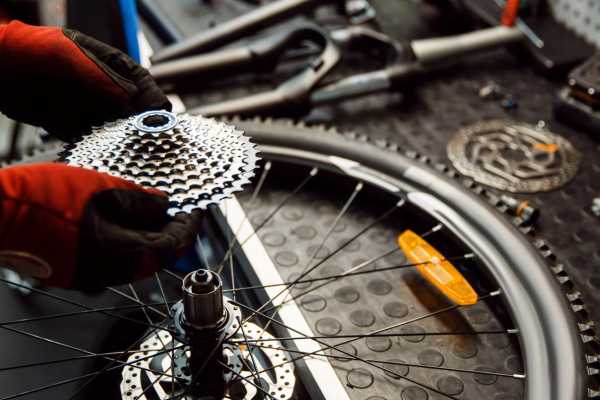 Bike maintenance mini course