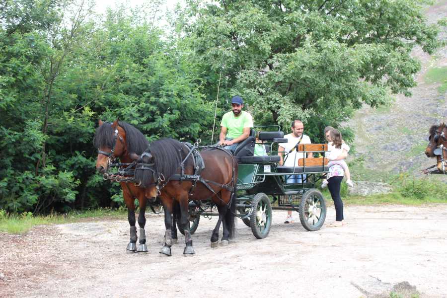 Ger&ecirc;s Equidesafios FAM&Iacute;LIAS . PROGRAMA RELAX