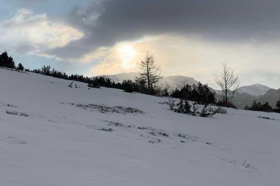 Modenatur Ciaspolata "in rosa" al Balzo delle Rose Modena Slow