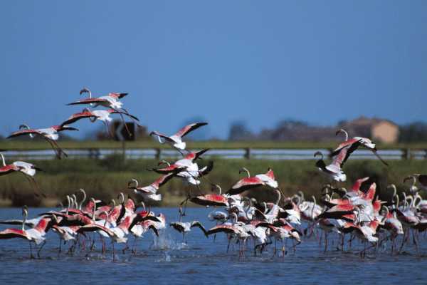 Offerta soggiorno - Scopri l'avventura a Cervia