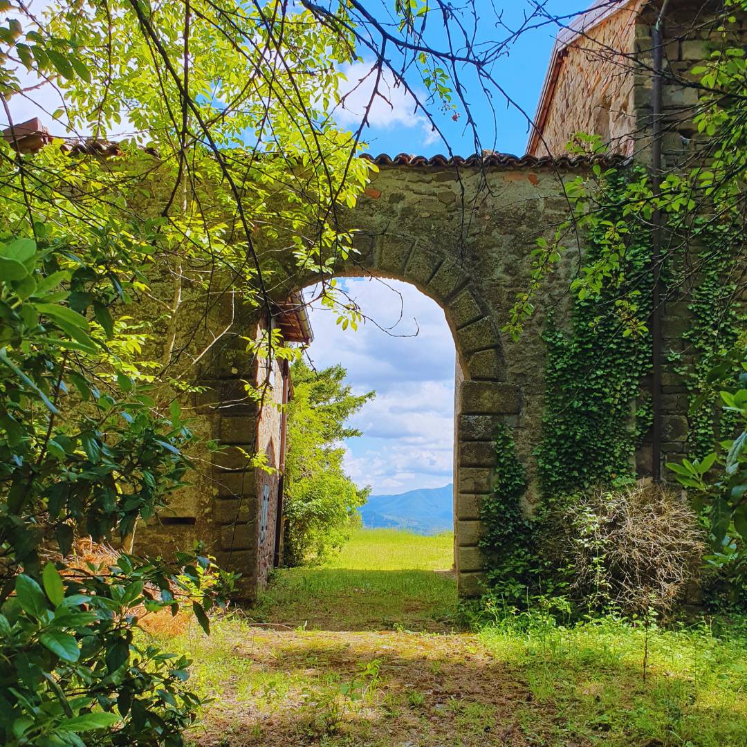 The Brazilians at Monte Castello - Trekking along the paths of the resistance