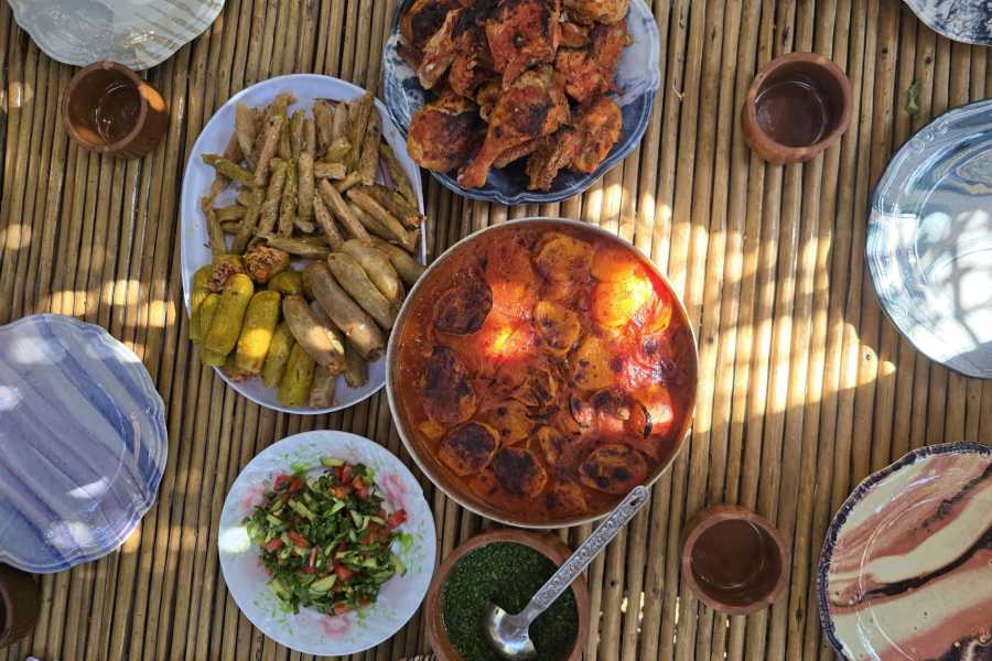 EMO TOURS EGYPT Organic Farm Dining, Day Use & Rural Activities in Dahshur, Egypt