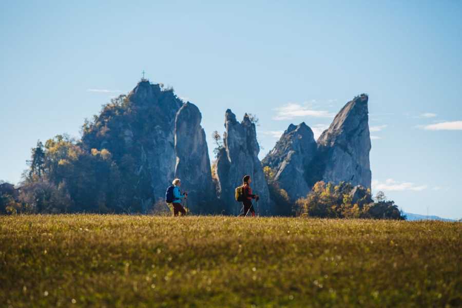Modenatur Sul Cammino dell'Unione con Cammin Sentendo