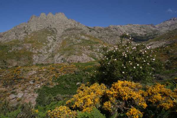 Bergwanderung Monte Albano