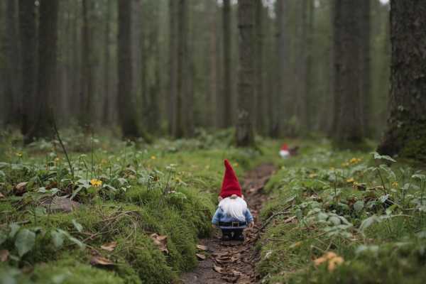 Passeggiata con gli Gnomi