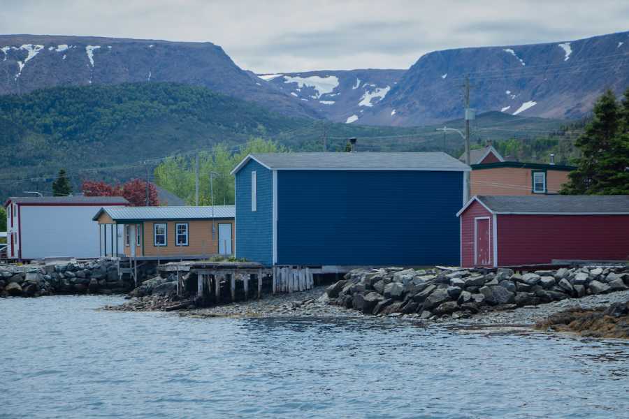 Dream Vacation Tours 10-DAY NEWFOUNDLAND DREAM TOUR