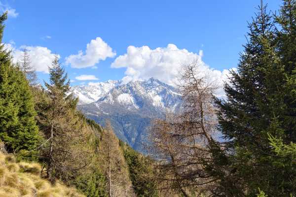 Monte Calvo dalla Val Vallaro - 02/08/26