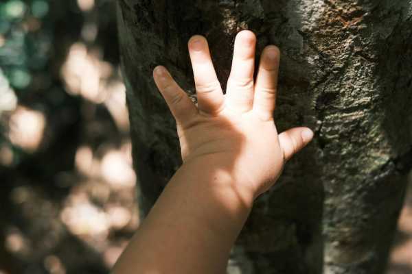 Esplorando la natura con i 5 sensi