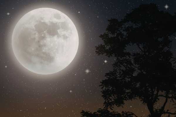 Passeggiata silenziosa al Chiar di Luna