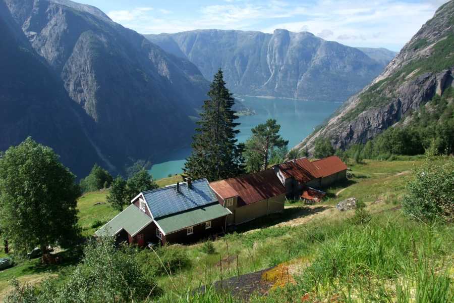 Hardanger Fjordsafari AS Hardanger Turvogn