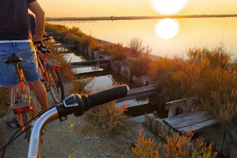 Discover Cervia (ERW) Cervia Saltpan by Bike & Birdwatching