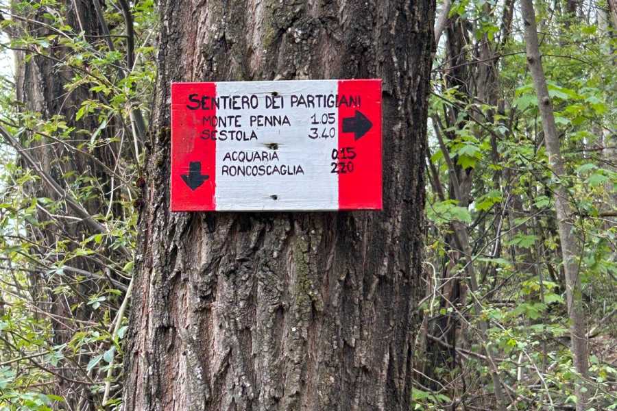 Modenatur Escursione : Sentieri Ribelli