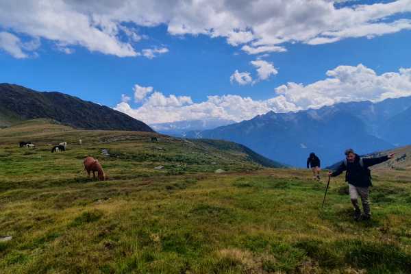 Monte Casola da Predazzo - 23/06/26