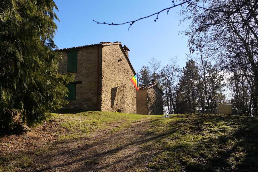 IF Imola Faenza (ERW) Cammina, scopri e degusta con IF - Trekking sul Sentiero dei Partigiani della 36&ordf; Brigata Garibaldi