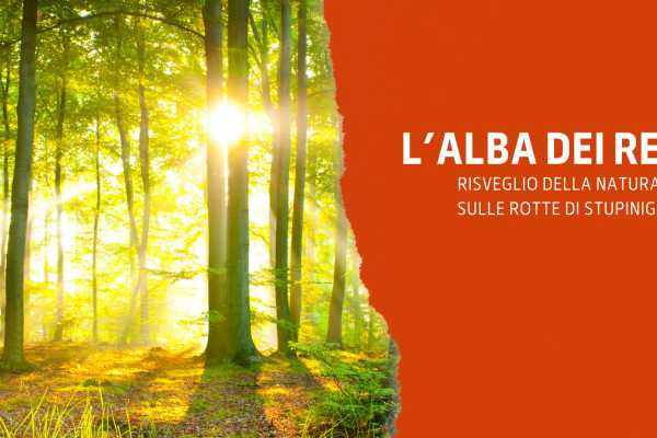 L'Ora d'Oro nel Bosco Reale