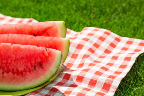 PIC NIC ROSSO FUOCO