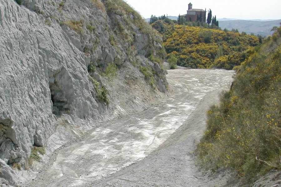 IF Imola Faenza (ERW) Cammina, scopri e degusta con IF - Sotto Rontana, tra gli antichi ulivi e le sorprese del museo geologico all'aperto Ex Cava del Monticino