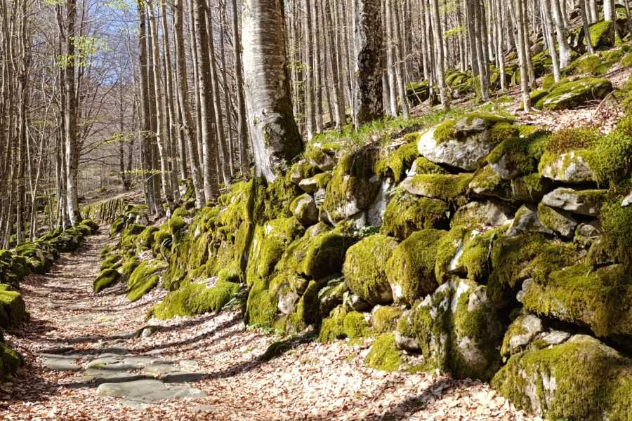 Modenatur Trekking: Antichi borghi e muretti a secco Modena Slow