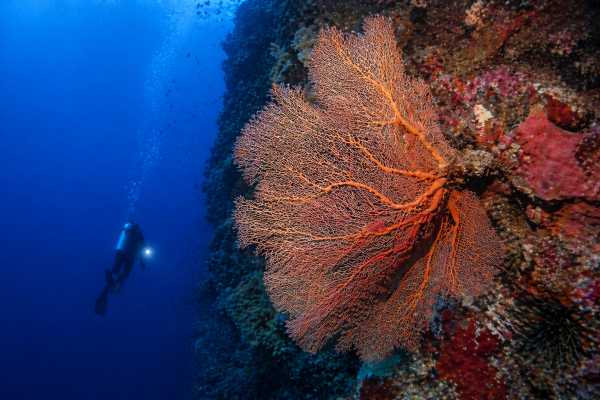 Grand Turk - Dive Training