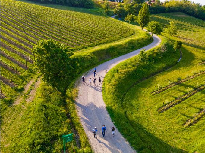 Trekking through the vineyards of Varignana: a journey through nature and flavour