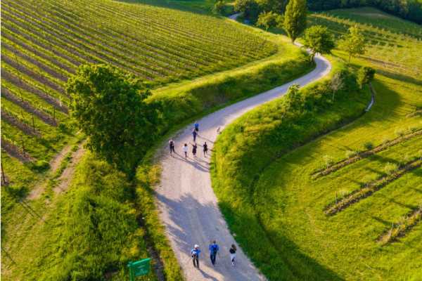 Trekking tra i vigneti di Varignana: un viaggio nella natura e nel gusto