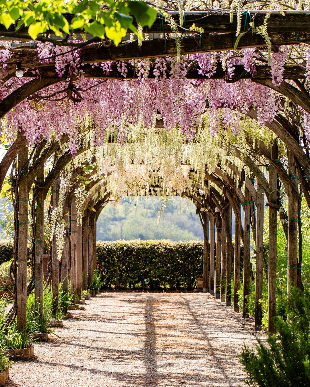 I Giardini Ornamentali di Varignana - Visita guidata con pranzo o degustazione