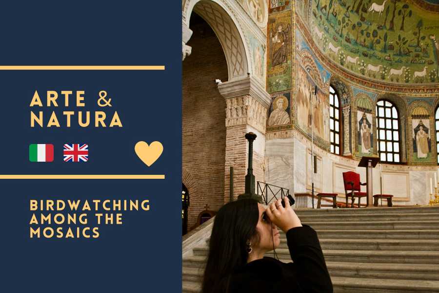 Birdwatching among the mosaics – Guided tour of Basilica di Sant’Apollinare in Classe