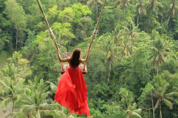 Ubud: Jungle Heaven Swing, Rice Terrace, Tirta Empul and Tegenungan Waterfall Full day Tour (Min 2 Persons)
