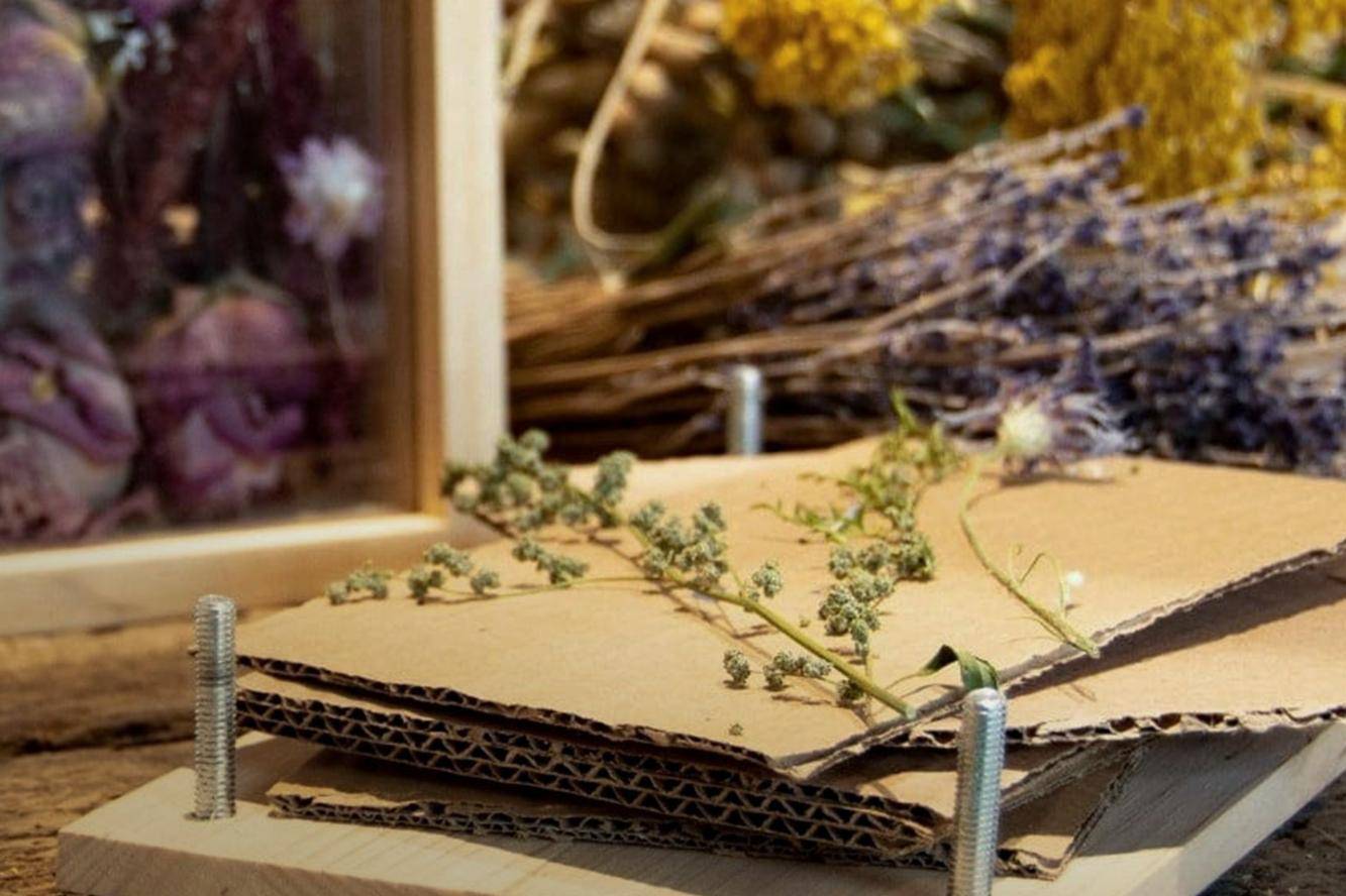 Fiori e foglie per sempre