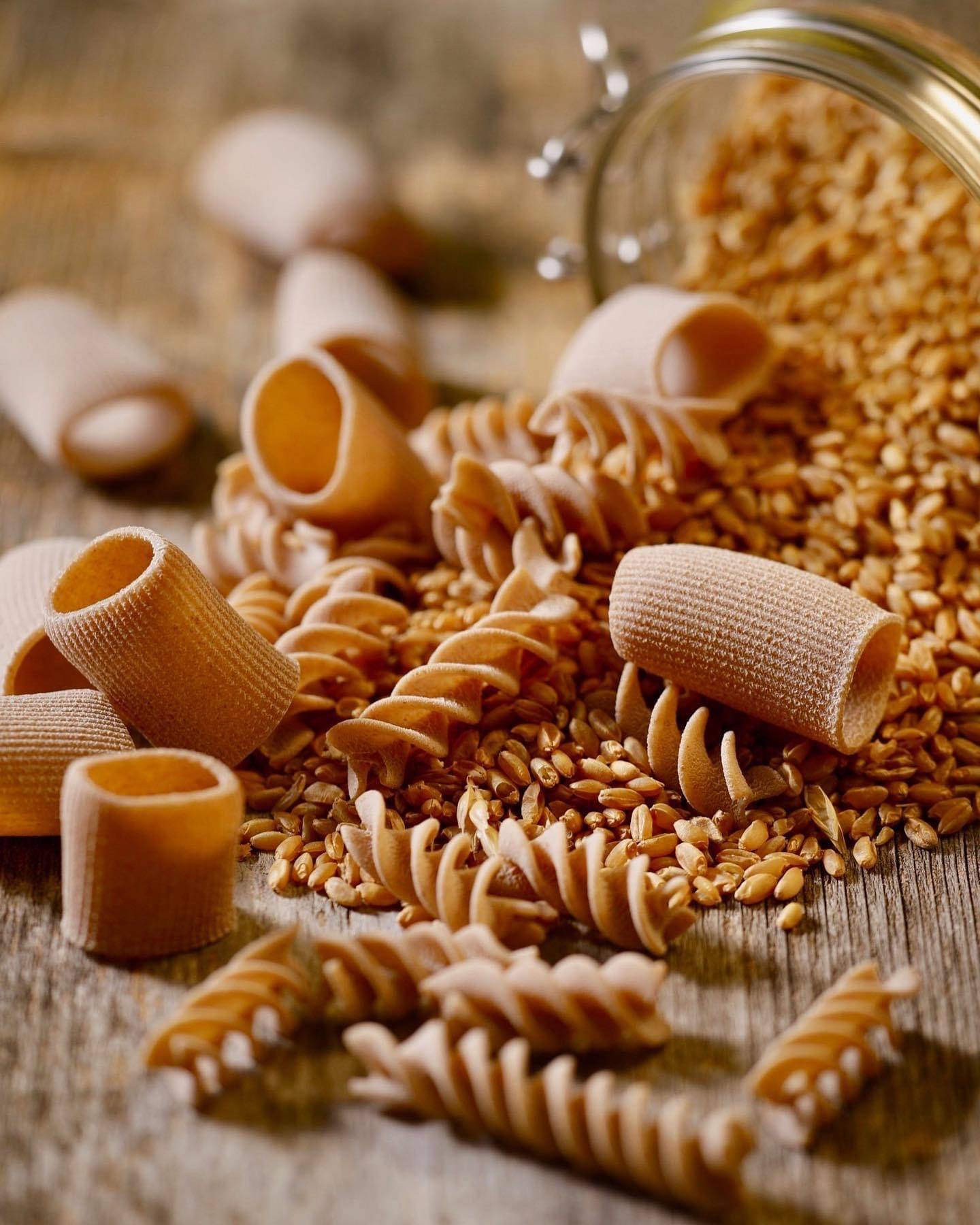 Dalla Terra alla Tavola: tour enogastronomico nella pianura bolognese