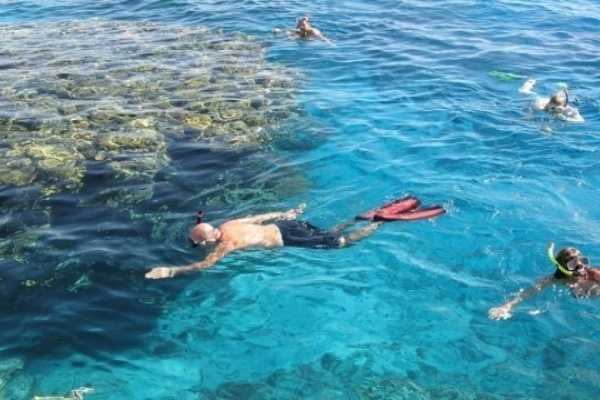 Tiran Island Snorkeling Excursion From Sharm el Sheikh