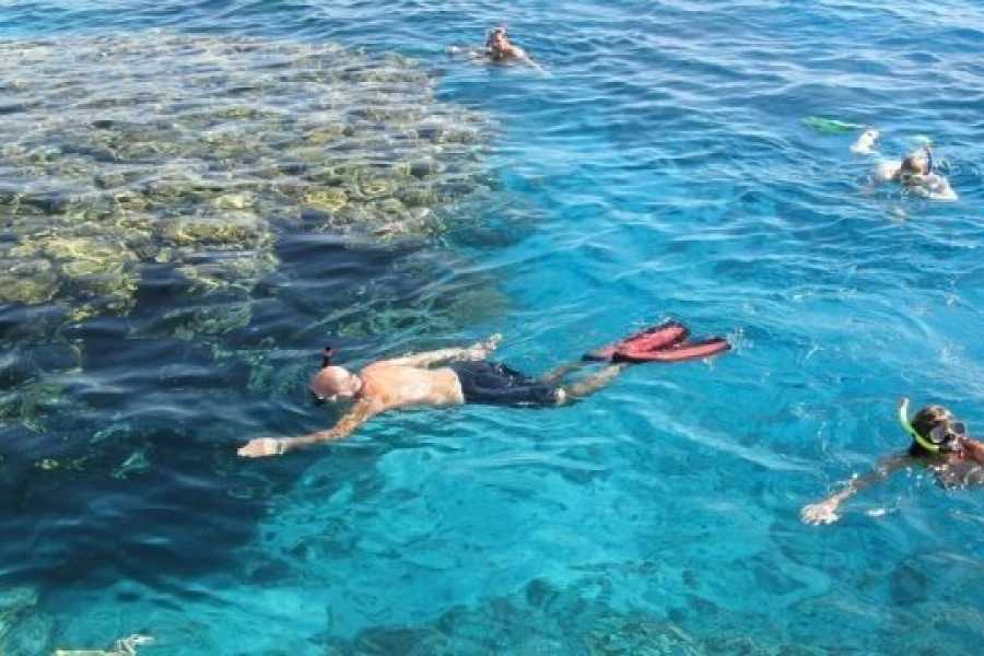Egypt Tour packages Tiran Island Snorkeling Excursion From Sharm el Sheikh