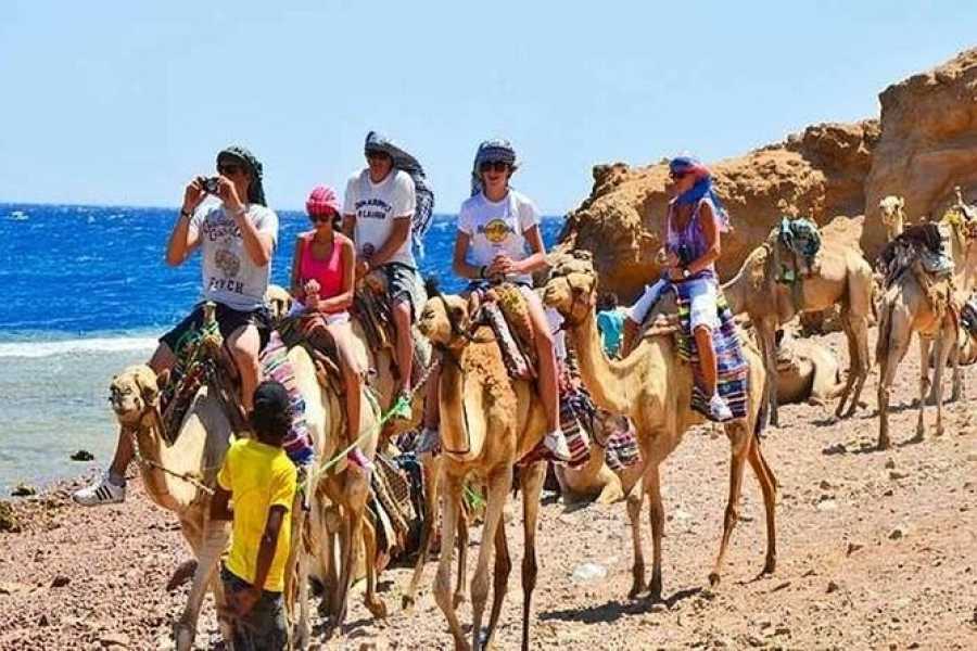 Egypt Tour packages Trip to Blue Hole, Canyon & Dahab from Sharm el sheikh