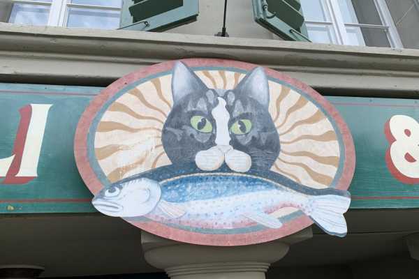 Schoggi mit Salz