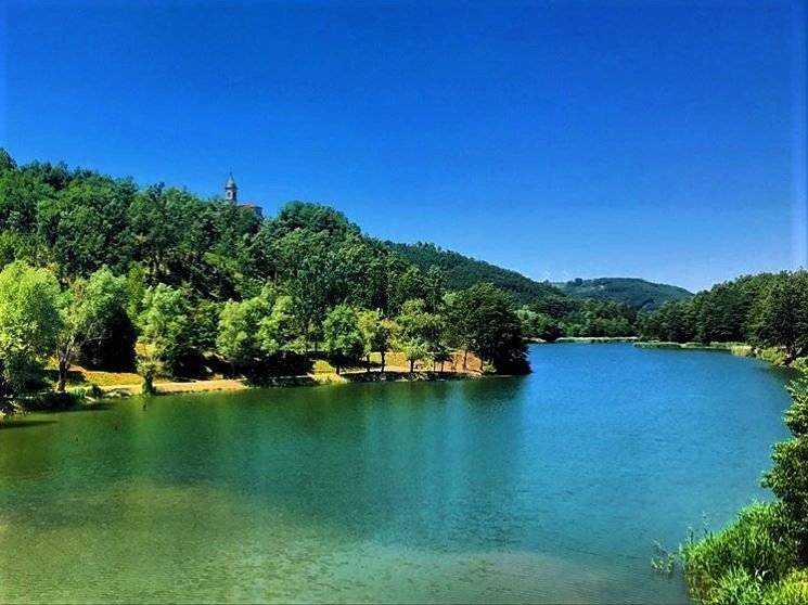 Escursione Sospesa - Castel dell'Alpi