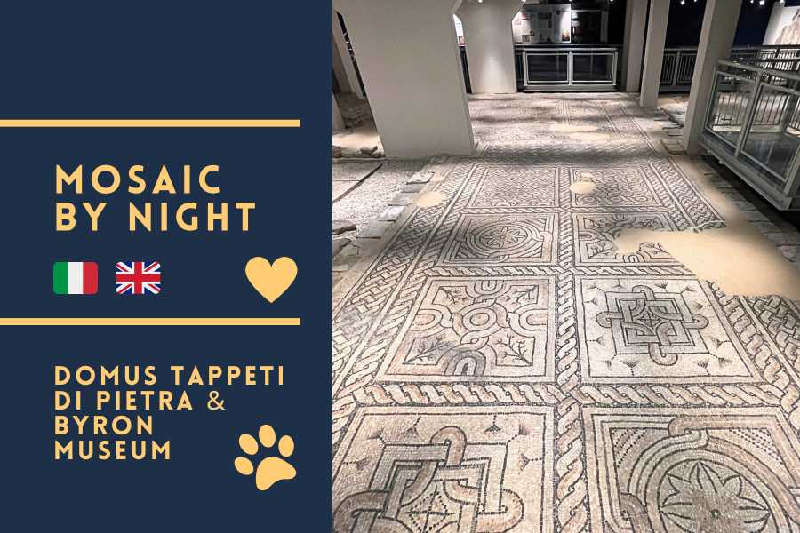 Mosaic by Night: Living in Ravenna from Late Antiquity to the 19th Century